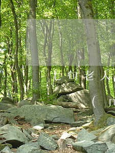 七旬老人欠銀行理財(cái)(老人欠銀行錢沒(méi)償還能力是誰(shuí)還)