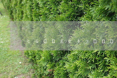 七百萬標底交多少訴訟費(五百萬標的訴訟費)
