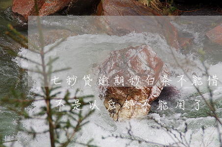 七秒贷逾期秒白条不能借(借呗逾期一分钟是不是以后都不能用了?)