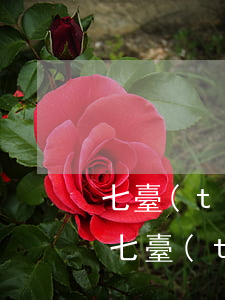 七臺(tái)河信息網(wǎng)買房(七臺(tái)河信息網(wǎng)買房)