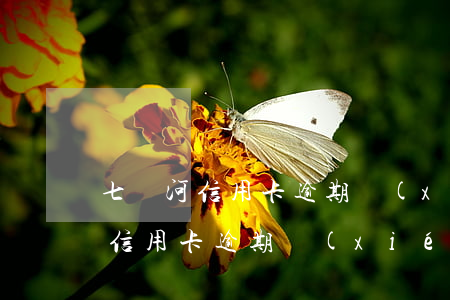 七臺河信用卡逾期協(xié)商-七臺河信用卡逾期協(xié)商電話