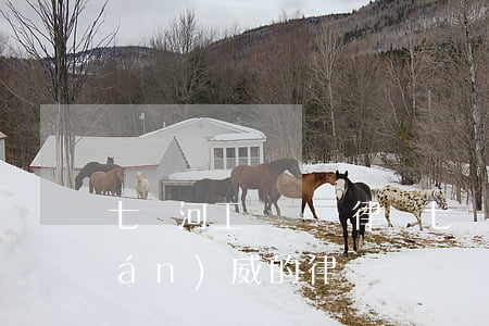 七臺河工傷糾紛律師(七臺河市最有權(quán)威的律師)