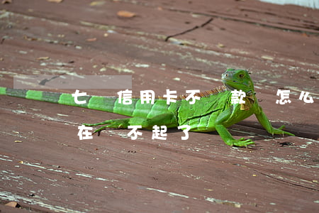 七萬信用卡不還款會怎么樣(欠7萬信用卡,實在還不起了)