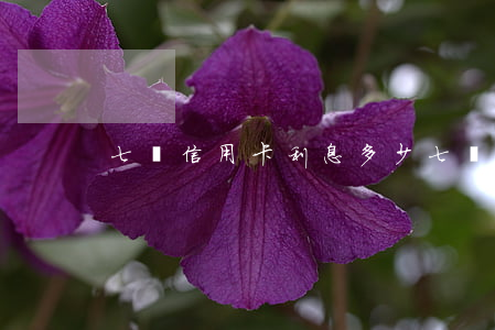 七萬信用卡利息多少(七萬塊信用卡利息多少)