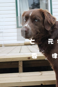 七萬元打官司律師費是多少錢(打官司一萬塊要給律師多少錢?)