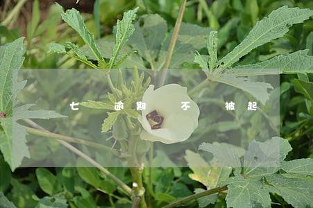 七貸逾期會不會被起訴