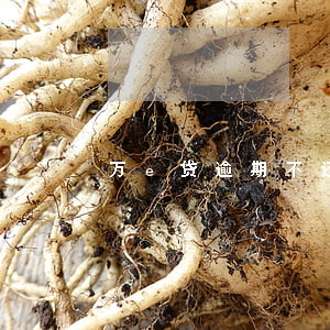 万e贷逾期不还会不会起诉(万e贷会起诉吗)