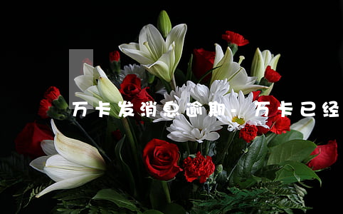 万卡发消息逾期-万卡已经审核7天了