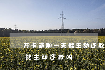 万卡逾期一天能主动还款吗-万卡逾期一天能主动还款吗
