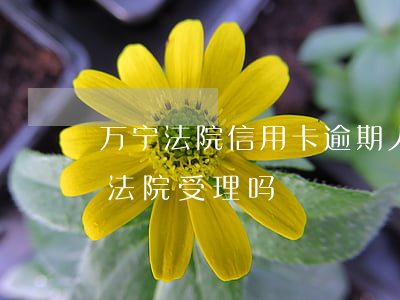 万宁法院信用卡逾期人员(一万多信用卡逾期法院受理吗)