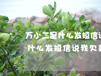 万小二是什么发短信说我欠款逾期(万小二是什么发短信说我欠款逾期)