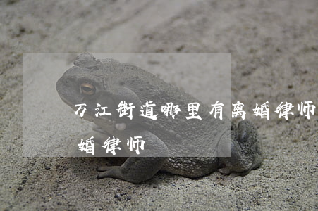 万江街道哪里有离婚律师(万江街道哪里有离婚律师)