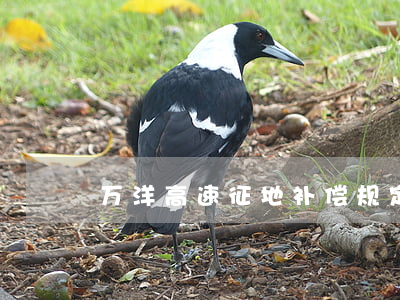 万洋高速征地补偿规定是怎样的