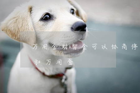 万用金财智金可以协商停息挂账嘛-财智金和万用金