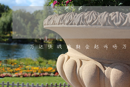 万达快钱逾期会起诉吗(万达近期怎么回事)