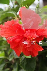 万达快钱逾期被起诉(万达贷提起诉讼)