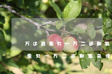 万达普惠欠一万二逾期发来律师函-万达普惠欠一万二逾期发来律师函是真的吗