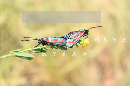 万达普惠起诉逾期(欠万达普惠三千块说要起诉我了是真的)