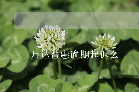 万达普惠逾期起诉么