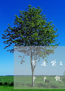 万达贷app能弄成本金还款吗-万达贷app能弄成本金还款吗安全吗