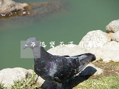 万达贷不还有事吗（万达贷款额度还不起）