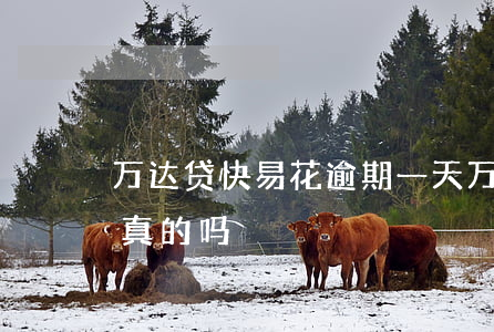 万达贷快易花逾期一天(万达贷快易花起诉是真的吗)