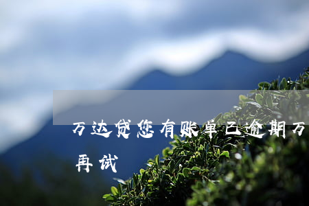 万达贷您有账单已逾期(万达贷还清本月账单再试)