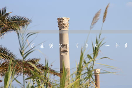 万达贷欠5000一年多(万达现在欠多少钱)