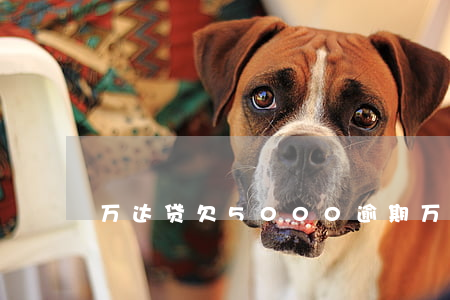 万达贷欠5000逾期(万达欠多少钱)