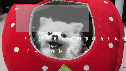 万达贷欠6万逾期被起诉(万达普惠逾期半年了会起诉借款人吗?)