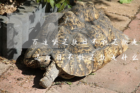 万达贷还款日不能还款是什么意思-万达贷还款日不能还款是什么意思呀