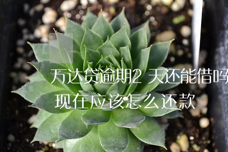 万达贷逾期2天还能借吗(万达贷逾期两年了,现在应该怎么还款)