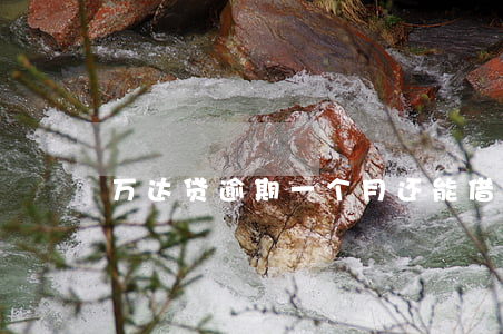 万达贷逾期一个月还能借吗