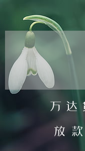万达贷逾期一天就不放款了(万达贷过年期间放款吗)