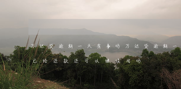 万达贷逾期一天有事吗(万达贷逾期一天但是已经还款,还可以继续用吗)