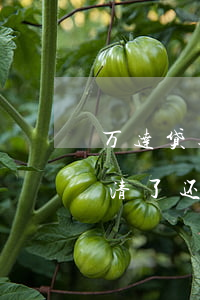 万达贷逾期一天还能提额吗(万达贷逾期了还清了还可以正常使用吗?)
