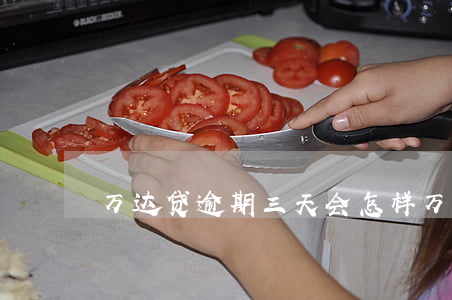 万达贷逾期三天会怎样(万达贷晚还两天)