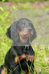 万达贷逾期被法院执行冻结(万达贷逾期被起诉立案结果会是怎样)