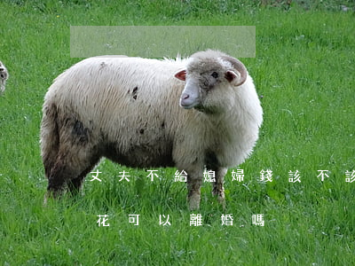 丈夫不給媳婦錢該不該離婚(丈夫不給妻子錢花可以離婚嗎)