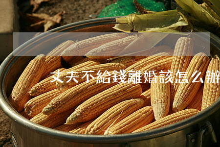 丈夫不給錢離婚該怎么辦