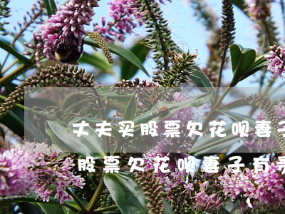 丈夫买股票欠花呗妻子有责任还吗-丈夫买股票欠花呗妻子有责任还吗怎么办