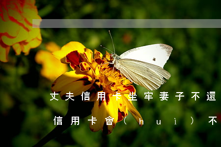 丈夫信用卡坐牢妻子不還(老公因坐牢沒法還信用卡,會(huì)不會(huì)讓我還)
