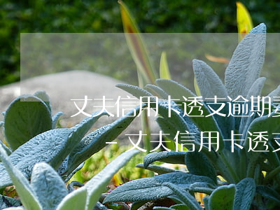 丈夫信用卡透支逾期妻子會(huì)坐牢嗎-丈夫信用卡透支逾期妻子會(huì)坐牢嗎知乎