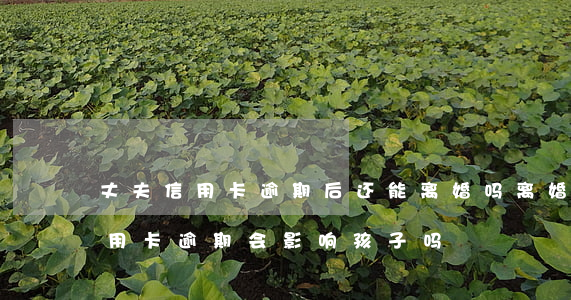 丈夫信用卡逾期后还能离婚吗(离婚了前夫信用卡逾期会影响孩子吗)