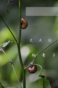 丈夫信用卡逾期妻子受影響嗎(丈夫信用卡逾期妻子受影響嗎)
