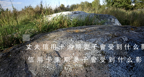 丈夫信用卡逾期妻子會受到什么影響-丈夫信用卡逾期妻子會受到什么影響呢