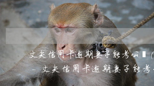 丈夫信用卡逾期妻子能考公務(wù)員嗎-丈夫信用卡逾期妻子能考公務(wù)員嗎知乎