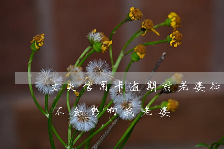 丈夫信用卡逾期对老婆征信(我信用卡逾期会不会影响我老婆)