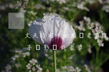 丈夫信用卡逾期對老婆征信(我信用卡逾期會不會影響我老婆)