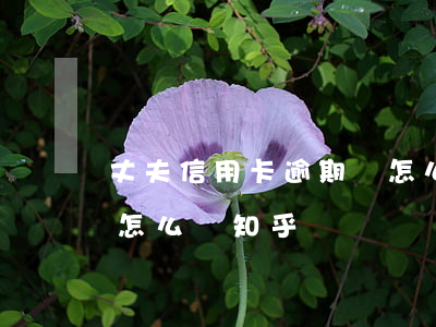 丈夫信用卡逾期會怎么樣(丈夫信用卡逾期會怎么樣知乎)